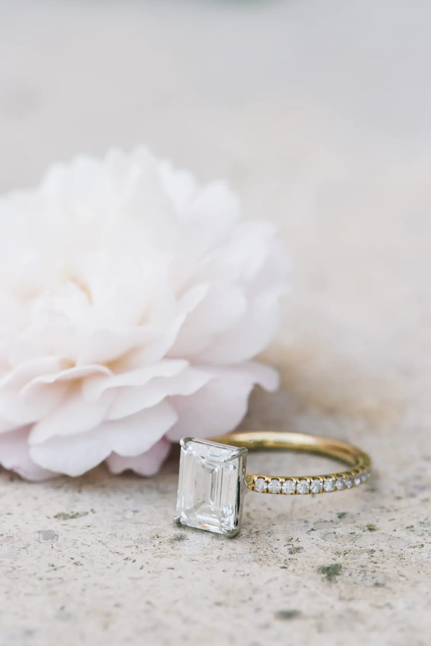 White rose and wedding band