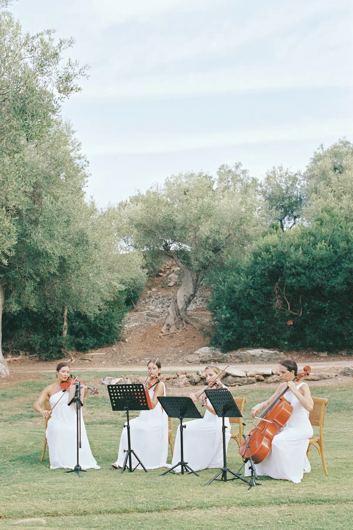 Wedding String Quartet Live Music Outdoor Ceremony