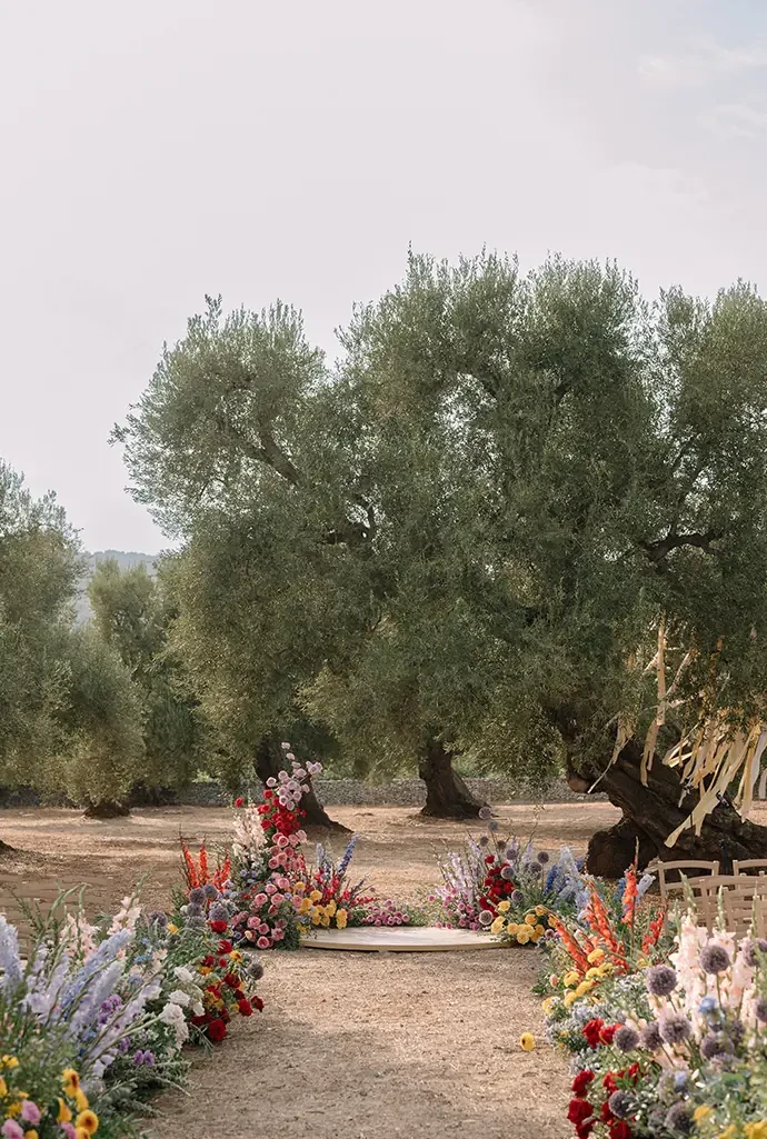Mediterranean Blossom