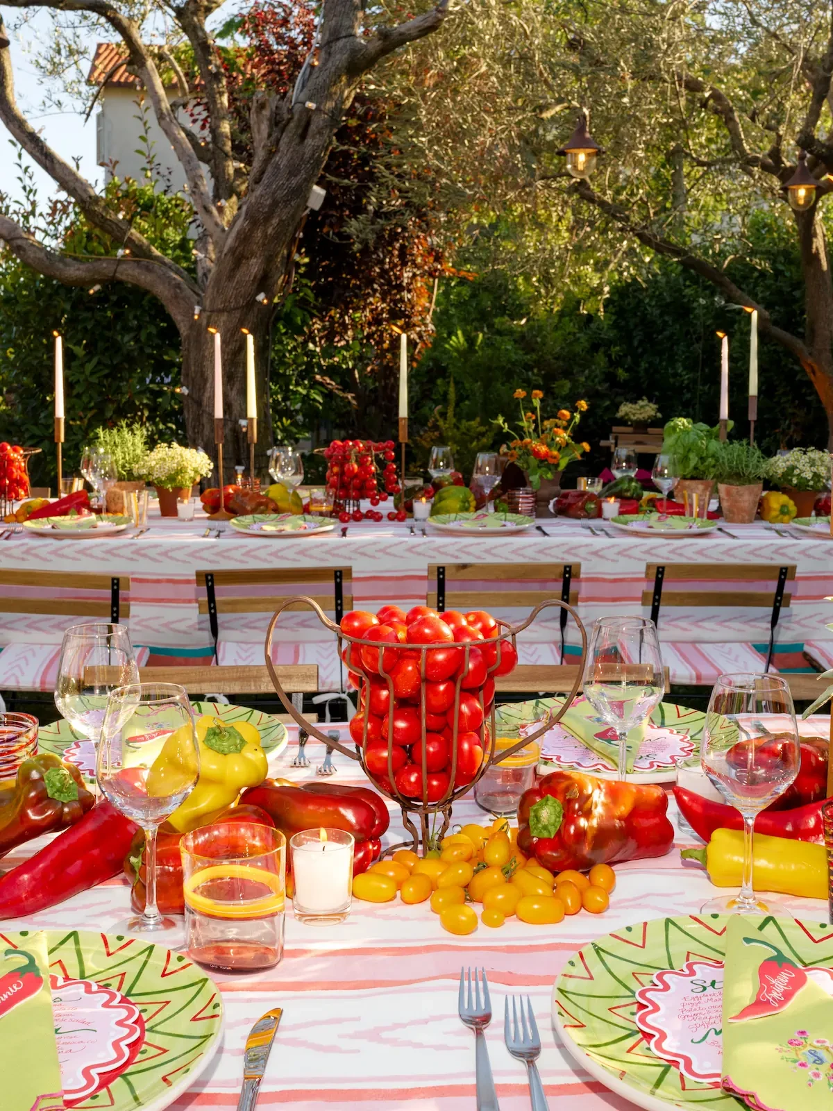 welcome dinner place setting with fresh vegetables decors